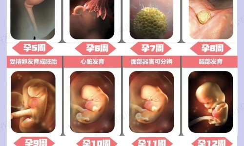 养森瘦瘦包功效网-分享养森瘦瘦包真假对比，养森瘦瘦包官方旗舰店知识库